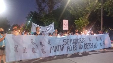 Pañuelos celestes coparon el centro de San Juan: Senadores, matar no es un derecho