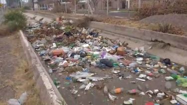 Video: una creciente de basura en pleno canal Benavídez