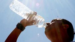 Un viernes con vientos leves y máxima de 38º