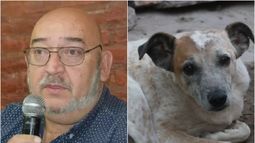Según un abogado, la ordenanza para matar perros callejeros que propone Soler es inviable en San Juan