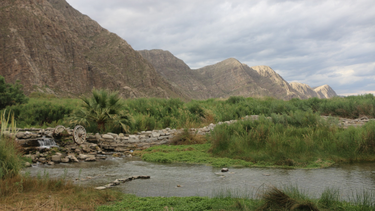 Agua Negra, el oasis jachallero más elegido por los sanjuaninos