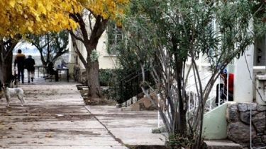 Tremendo: cocinaban para el neuro con la cocina inundada con líquidos cloacales