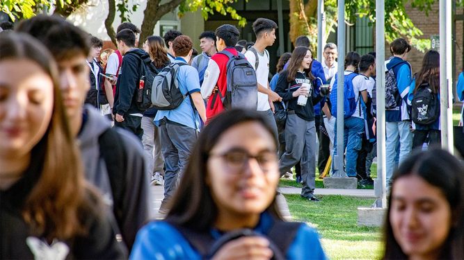 Una por una, todas las becas de investigación que ofrece la UNSJ y cómo inscribirse