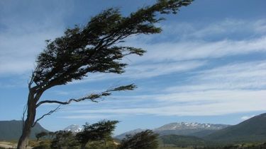 Atención: después del calor, llega el viento sur
