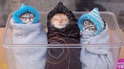 ¡Qué fresquete! Mirá el pronóstico para el martes en San Juan