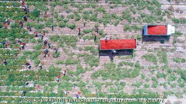 La belleza del trabajo del campo