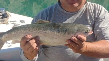 Un grupo de sanjuaninos pescó una trucha de dos kilos en Punta Negra