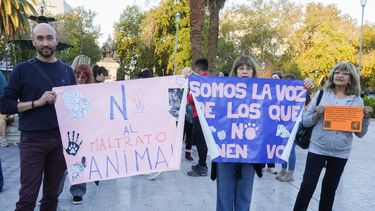 En el Día del Animal, proteccionistas marcharon en la Plaza 25