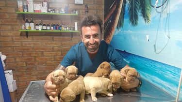 “Ariel Jofré”, el veterinario youtuber sanjuanino que enseña todo lo que hay que saber sobre tu mascota