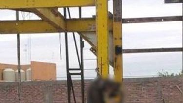 En dos días, dos denuncias por perros ahorcados