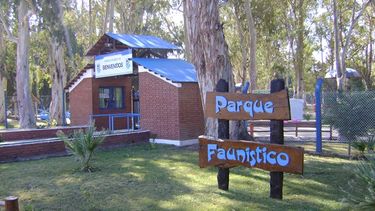 Tras la muerte de Simba, el Parque Faunístico volverá a abrir sus puertas