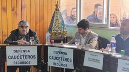 La interpelación de Rosas. La interpelación de Rosas.