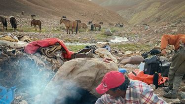 El Cruce de los Andes 2020, en fotos