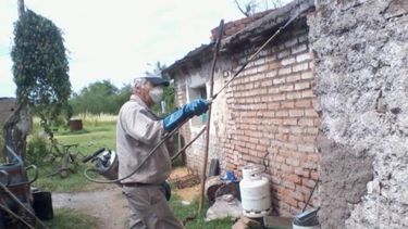 Chagas: Alertan sobre quienes quieren cobrar por desinfección