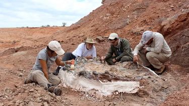 Buscan que la cama de huesos sanjuanina pueda ser observada por turistas