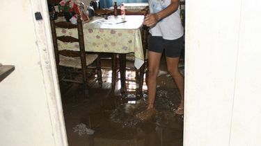 Caídas de árboles y casas inundadas en la Villa Mariano Moreno