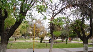 Entrega de certificados en Plaza Departamental