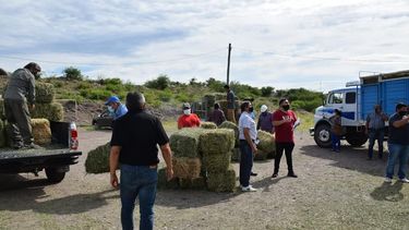 Se entregaron fardos de pasto a ganaderos en distintas localidades de Valle Fértil