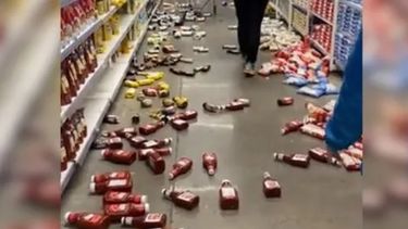 Los videos del fuerte temblor en Chile y la impresionante reacción de las aves