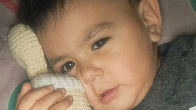 Lukas tiene 2 años y perdió a su amigo Pepe, un conejo tejido, en el Parque de Mayo. Su mamá pide ayuda para encontrarlo.