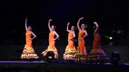 Las fallas valencianas deslumbraron a los sanjuaninos que se quedaron con ganas de más