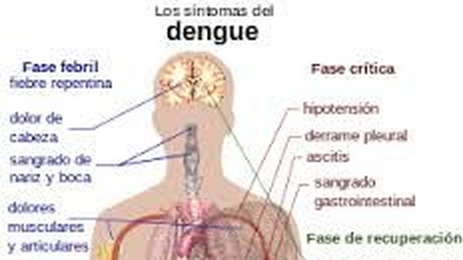 Salud Pública confirmó que no hay casos de dengue en San Juan