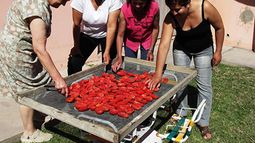 Capacitan a elaboradores artesanales y comerciantes