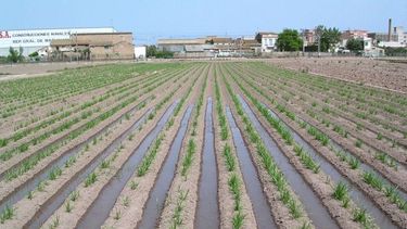 Capacitación sobre riego superficial en San Martín