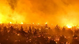 Incendios forestales en Chile: 64 muertos y más de 3.000 viviendas afectadas