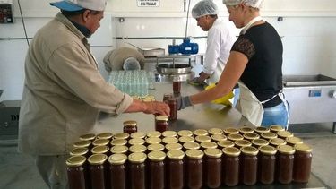 Elaboran dulces para darle batalla a la adicción a las drogas