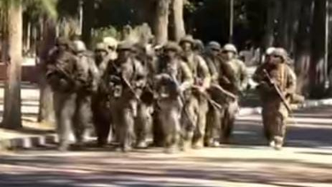 Video: como Los Reclutas, en el RIM 22 hicieron una canción que es viral