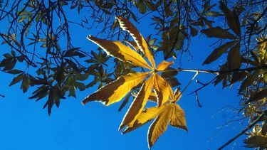 Un sábado con máxima de 21º y algunas nubes