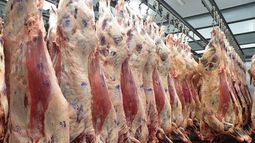 ¿Habrá abastecimiento normal de carne en San Juan durante la cuarentena?