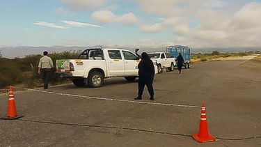 No dejan a los animales tranquilos ni en la cuarentena: cayeron presos por cazar