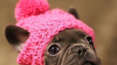 Del bajo cero al veranito: así estará el tiempo este domingo en San Juan