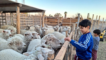 La granja de San Juan que nació como un sueño de amigos que buscaban un cambio de vida