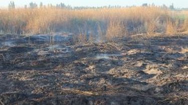 Desde bomberos solo sofocaron dos incendios hasta el momento