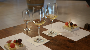 En Pocito, un recorrido por los secretos del vino sanjuanino ideal para vivir este verano.