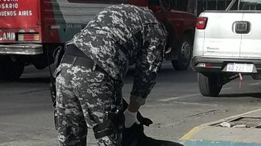 Las postales que emocionaron en las redes: un policía haciéndole cariño a un callejerito