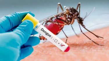 Más de 41.000 casos de dengue en el país: ¿qué pasa en San Juan?