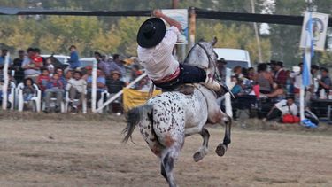 En Angaco festejaron el día del trabajo con una doma