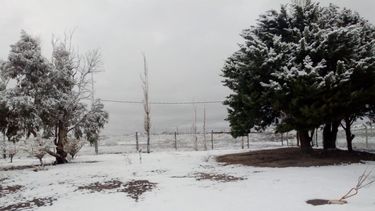Belleza nene, belleza, así amaneció la precordillera con la primera nevada del año Belleza nene, belleza, así amaneció la precordillera con la primera nevada del año