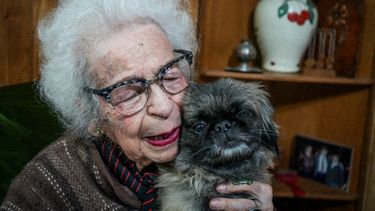 La historia de amor de Tota y el pícaro Sultán