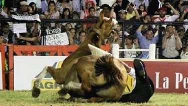 Un jinete quedó muy grave después de que su caballo le cayera encima