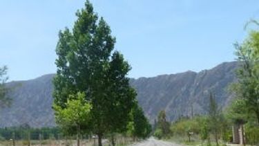 Esperan por el Plan 800 cuadras para la pavimentación de Villa Tacú