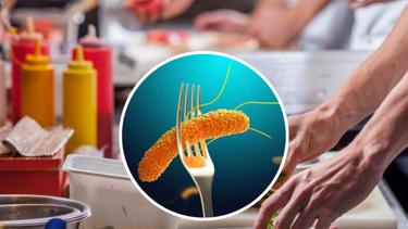 Una infectóloga sanjuanina explicó que cuidados hay que tener contra la Salmonella