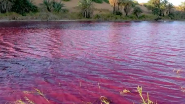 Sorpresa en Egipto: el río Nilo se tiñó de rojo y causó preocupación