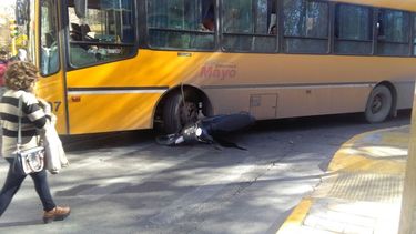 Tremendo accidente: una moto quedó debajo de un colectivo Tremendo accidente: una moto quedó debajo de un colectivo