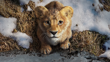 Mufasa, la precuela del Rey León estrena este jueves en Play Cinema: horarios y cómo comprar las entradas