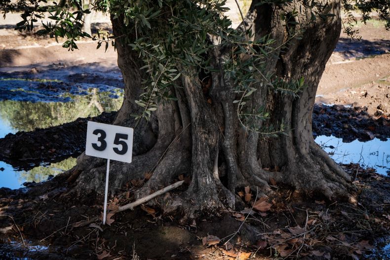 Fotografía Mariano Martín